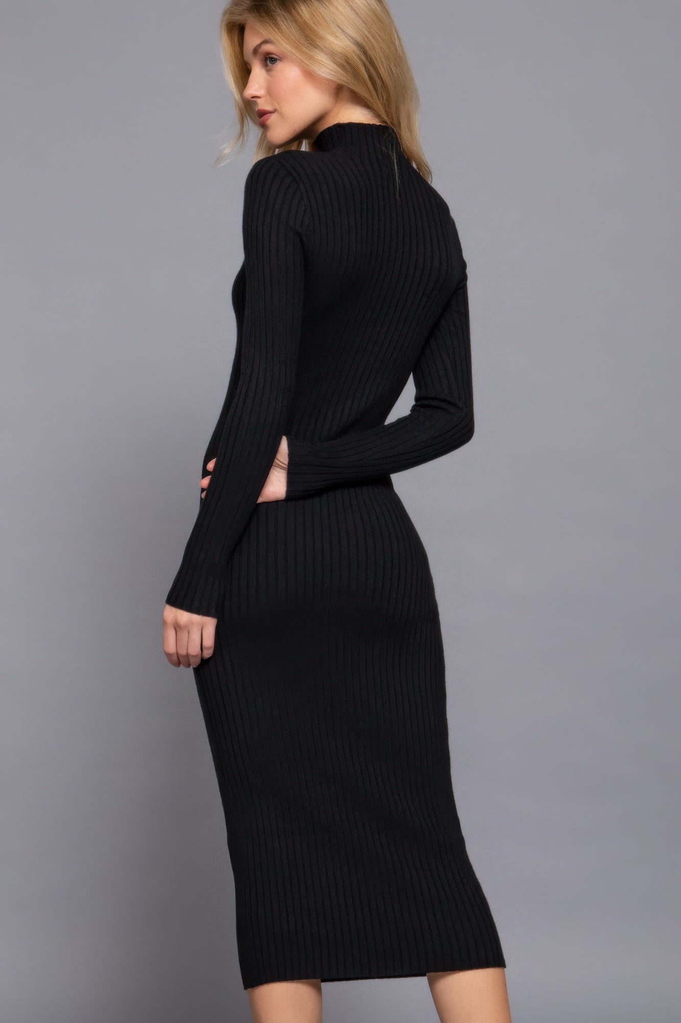 Long Sleeve High Neck Sweater Long Dress - BaeDrip