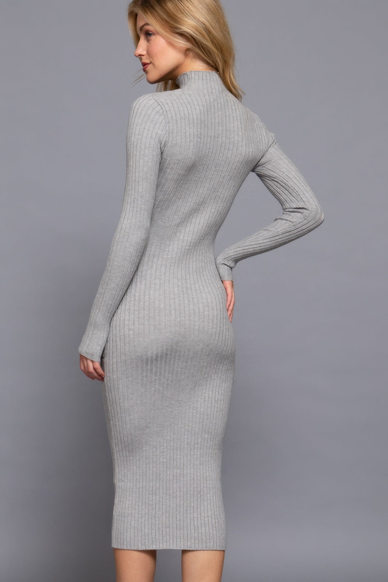 Long Sleeve High Neck Sweater Long Dress - BaeDrip
